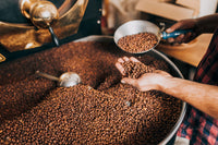 The Best Coffee Beans for Bean to Cup Machines
