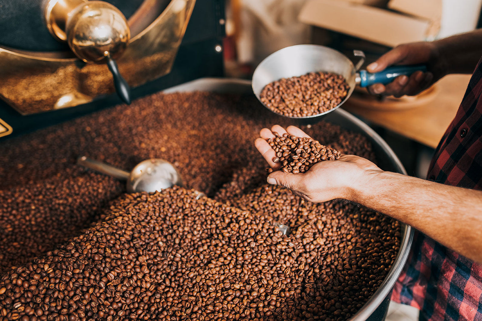 The Best Coffee Beans for Bean to Cup Machines